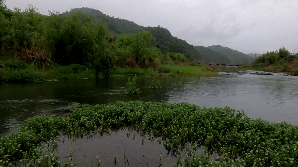 fishing a mountainous stream